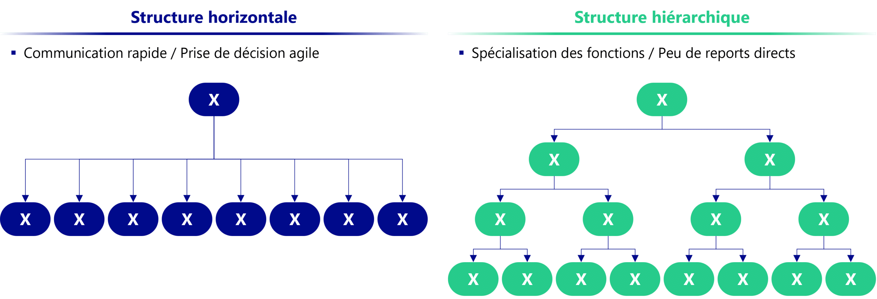 Types d'organigrammes