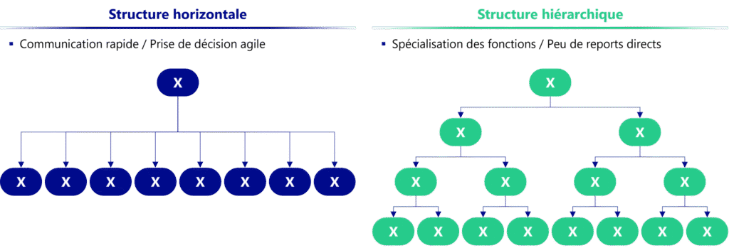 types dorganigrammes
