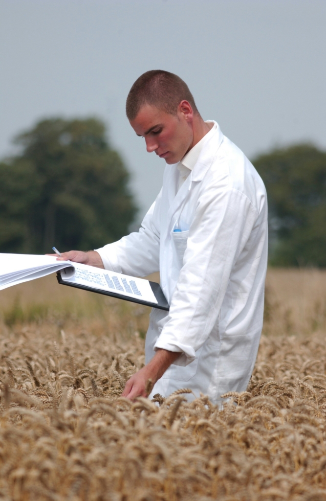 technicien cabinet de recrutement agriculture